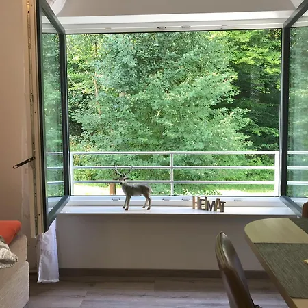 Appartementhaus Angelika Apartment Nittenau